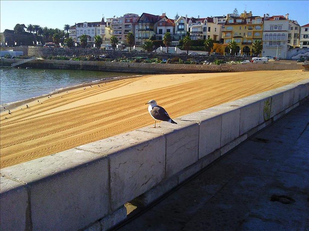 Casa Buganvilia Cascais Eksteriør bilde